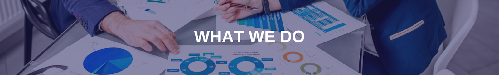 What We Do Header Image